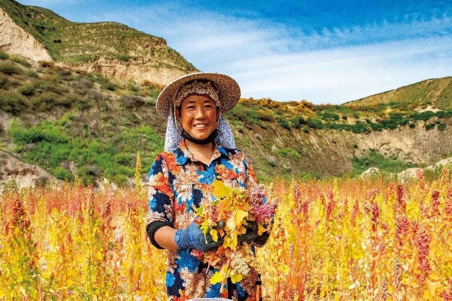 1669886886567572.jpg 4.jpg