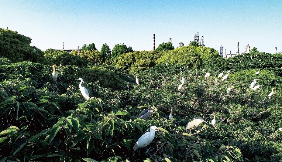 1669886906268120.jpg 7.jpg