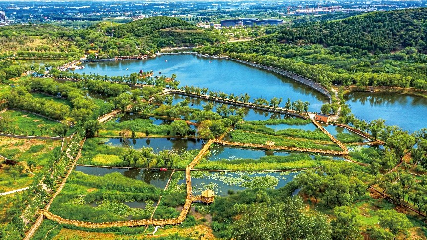 1669886912644452.jpg 8.jpg